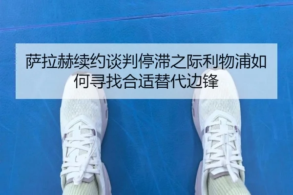 sa-la-he-xu-yue-tan-pan-ting-zhi-zhi-ji-li-wu-pu-ru-he-xun-zhao-he-shi-ti-dai-bian-feng-2-606.jpg